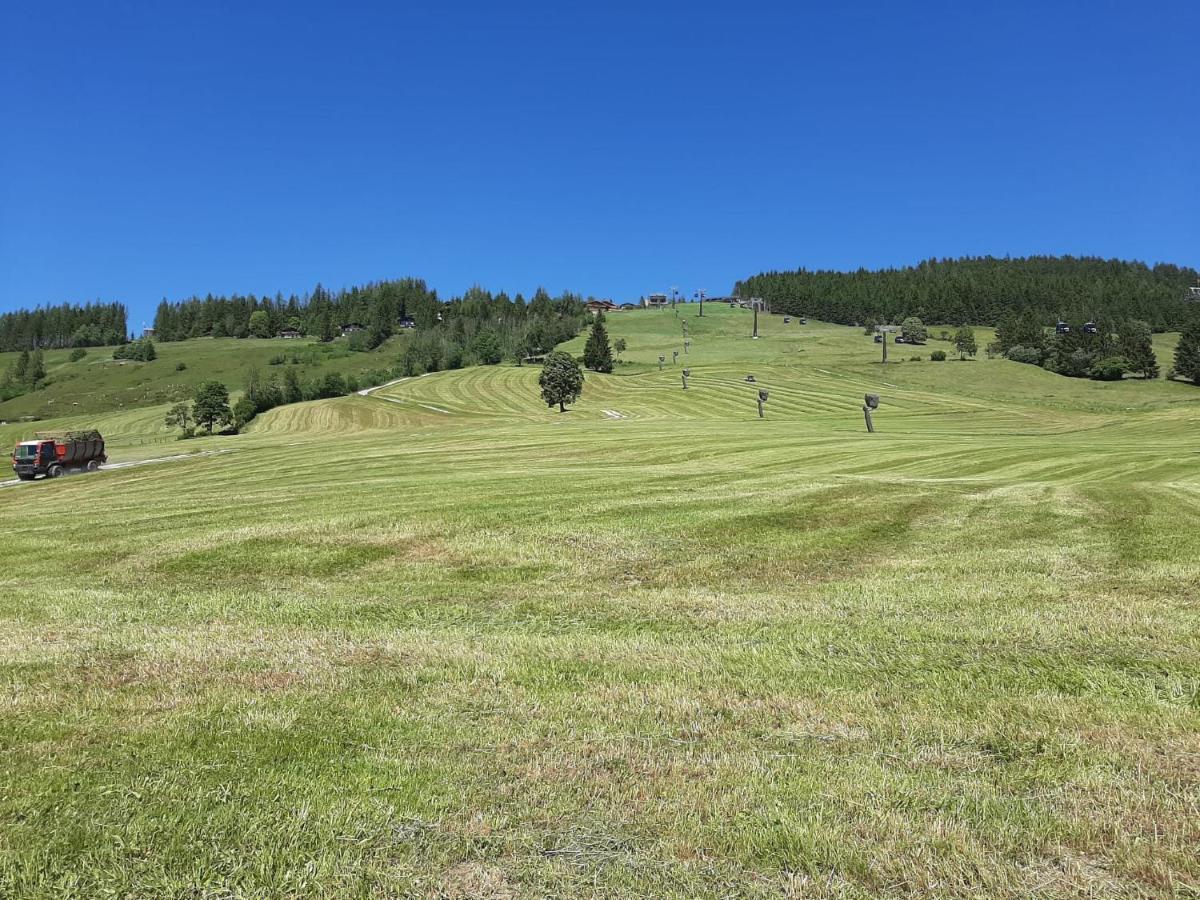 Bio-Bauernhof Hatzbauer Maria Alm am Steinernen Meer Εξωτερικό φωτογραφία