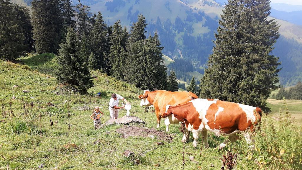 Bio-Bauernhof Hatzbauer Maria Alm am Steinernen Meer Εξωτερικό φωτογραφία