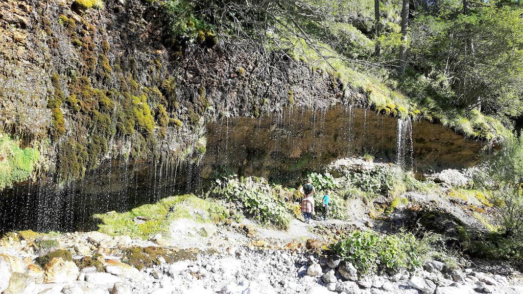 Bio-Bauernhof Hatzbauer Maria Alm am Steinernen Meer Εξωτερικό φωτογραφία