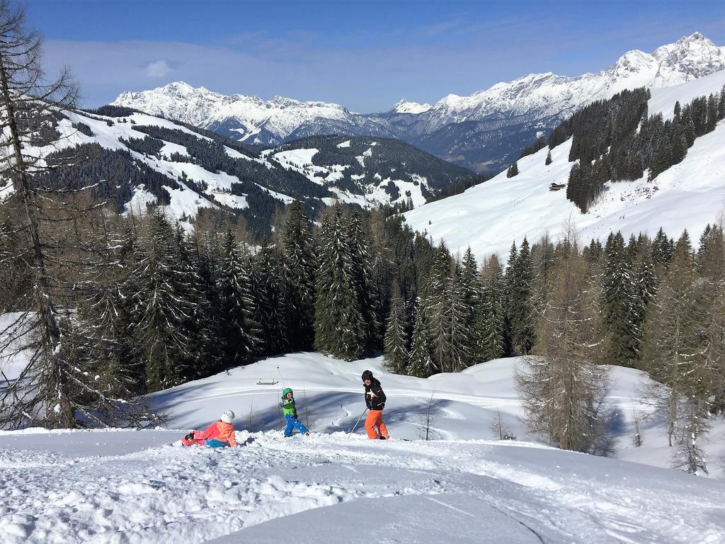 Bio-Bauernhof Hatzbauer Maria Alm am Steinernen Meer Εξωτερικό φωτογραφία