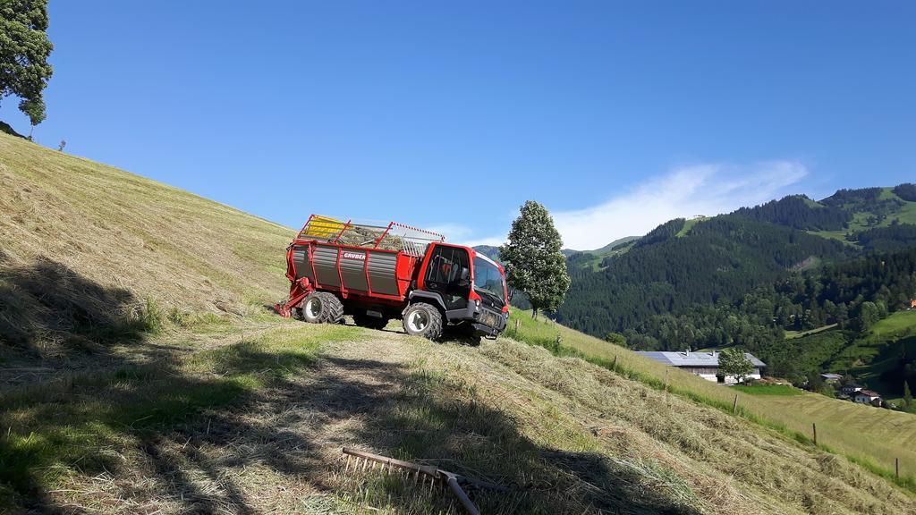 Bio-Bauernhof Hatzbauer Maria Alm am Steinernen Meer Εξωτερικό φωτογραφία